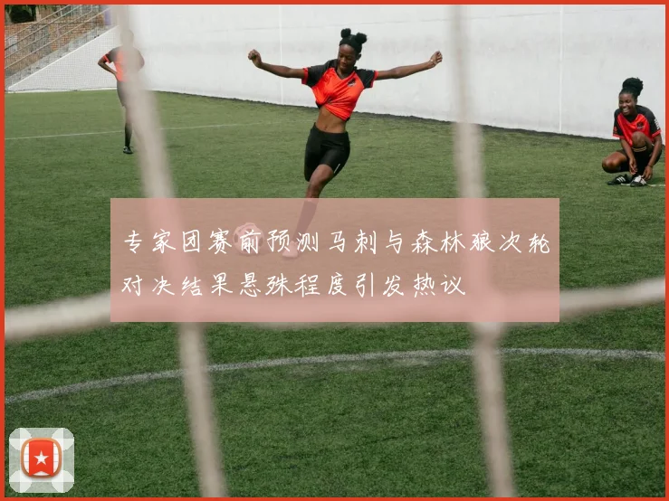 专家团赛前预测马刺与森林狼次轮对决结果悬殊程度引发热议