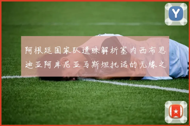 阿根廷国家队遗珠解析塞内西布恩迪亚阿库尼亚马斯坦托诺的无缘之路