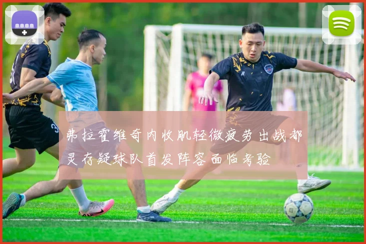 弗拉霍维奇内收肌轻微疲劳出战都灵存疑球队首发阵容面临考验